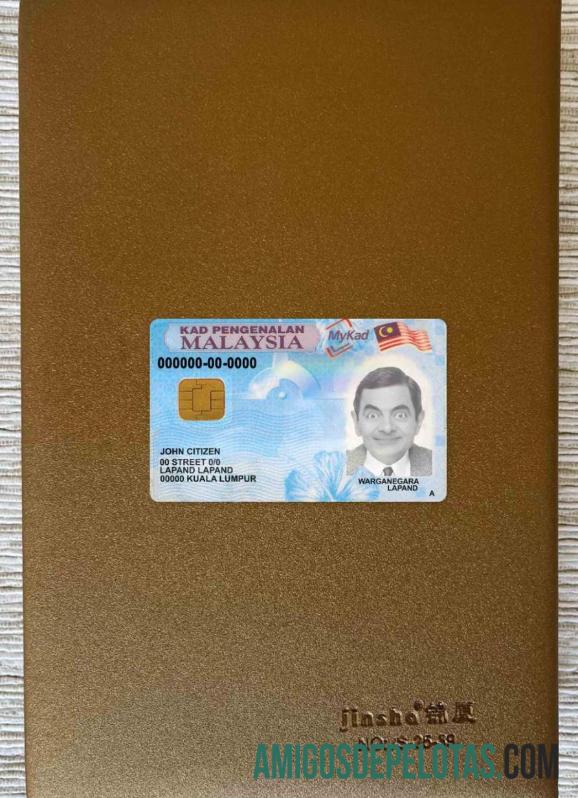 Malaysia ID olhar de foto frente exemplo